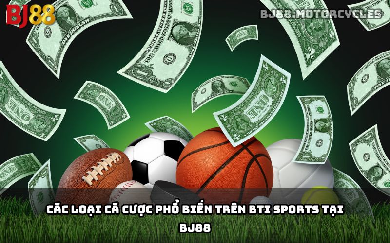 BTI Sports BJ88